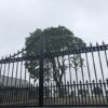 Close up of entrance gate at studfarm. Tree in background
